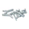 Low Price Top Quality Titanium Wing Head Screw for Mechanical Assembly